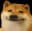 doge smile